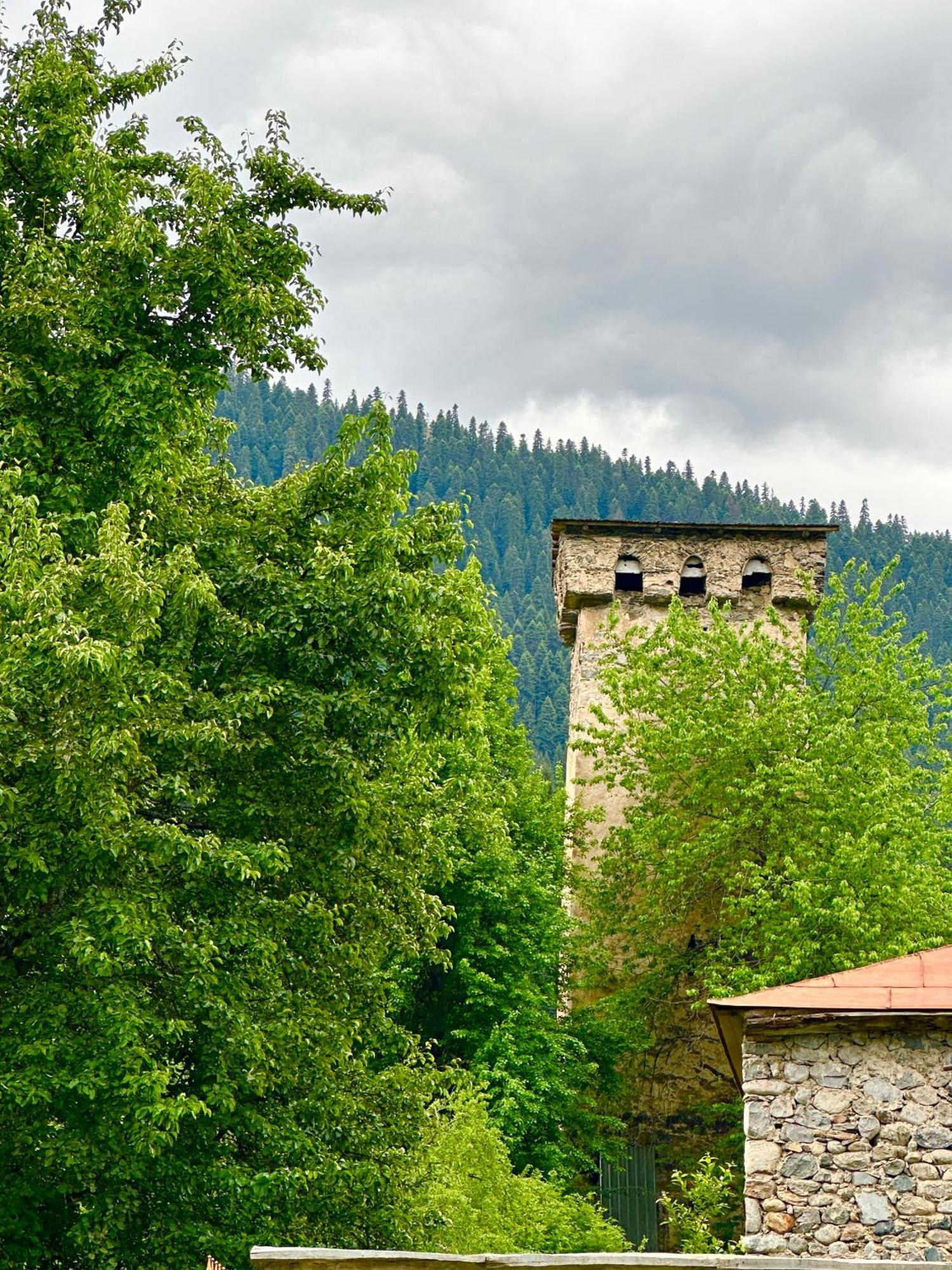 Mziuri Guest House Местия Экстерьер фото